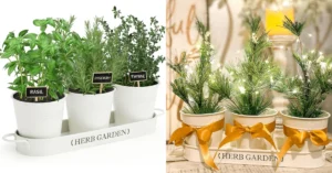 PERFNIQUE Planter Box