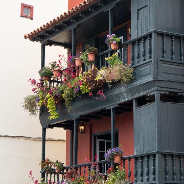 balcony, planting, architecture, balconies, facade, house facade, balcony, balcony, balcony, balcony, balcony, facade