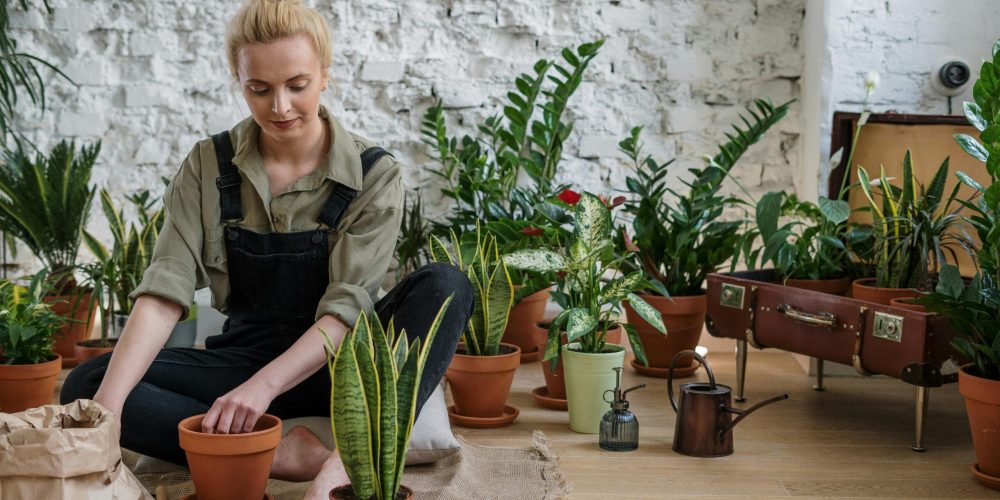 A woman arranges potted houseplants, creating an inviting indoor garden scene.